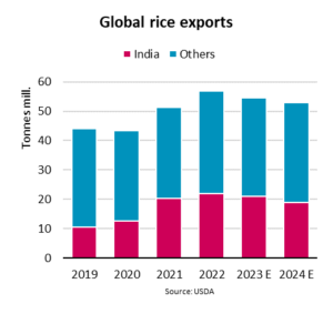 Global rice exports