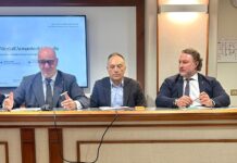 CARGO A GROTTAGLIE, CONFINDUSTRIA BRINDISI: «UN’OPPORTUNITÀ STRATEGICA PER LA COMPETITIVITÀ DELLE IMPRESE E LO SVILUPPO DEL SISTEMA LOGISTICO INTEGRATO JONICO-SALENTINO» SVILUPPO DEL SISTEMA LOGISTICO INTEGRATO JONICO-SALENTINO 1