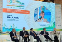 Brindisi, ‘I Colori dell’Energia’ – Offshore, Balanda (Nadara): “Eolico galleggiante può portare in Puglia investimenti, occupazione qualificata, filiera multisettoriale” Offshore, Balanda (Nadara) 1