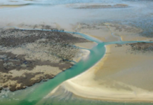 Tre milioni di metri cubi di sabbia per sollevare 261 ettari di piani di marea Roggenplaat-Eastern-Scheldt-Zeeland